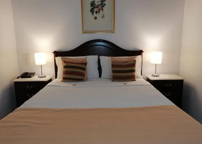 Vera Cruz Porto Downtown Hotel